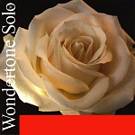 :Pirastro 410021 Wondertone Solo     ()
