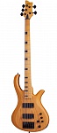 :Schecter RIOT SESSION-5 - 